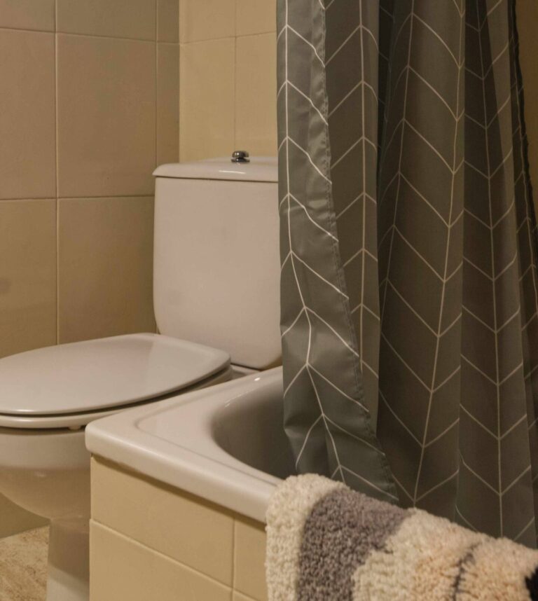 fageca_mestraII_baño2